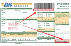邮政快递单号查询邮,揭秘邮政快递单号背后的物流秘密