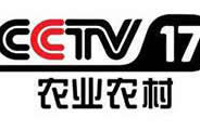cctv8频道直播,悬疑、情感、历史，尽在今晚直播