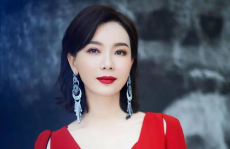 娱乐圈陈数,娱乐圈的优雅舞者，从琅琊榜到长安十二时辰
