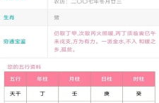免费取名测试,揭秘八字五行与姓名吉凶