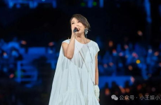 刘若英北京演唱会,歌声中的岁月流转，经典重燃