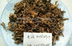 曼陀罗花多少钱,品种、用途与市场行情一览”